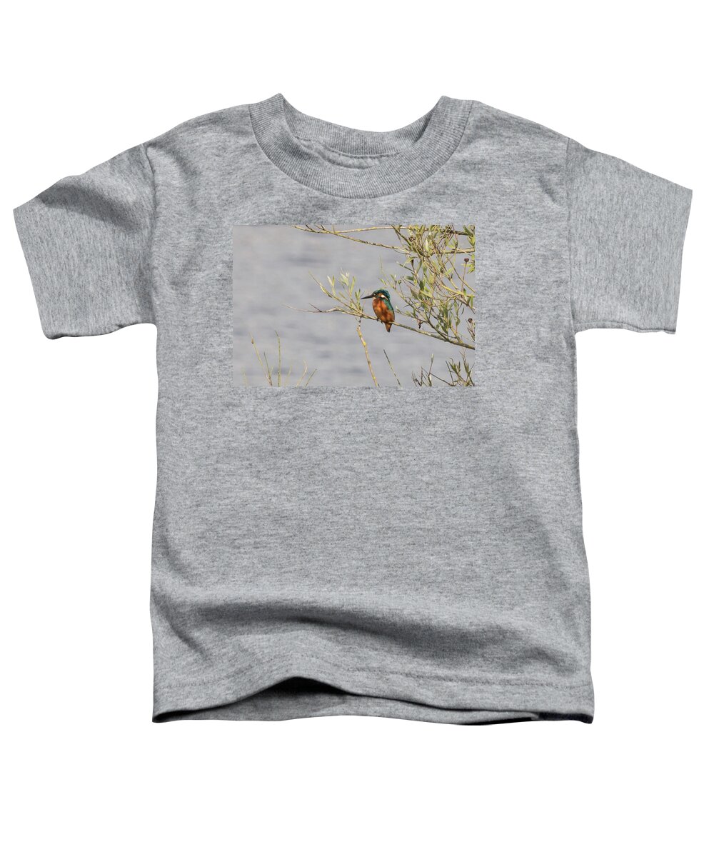 ©wendy Cooper Toddler T-Shirt featuring the photograph Kingfisher Waiting by Wendy Cooper