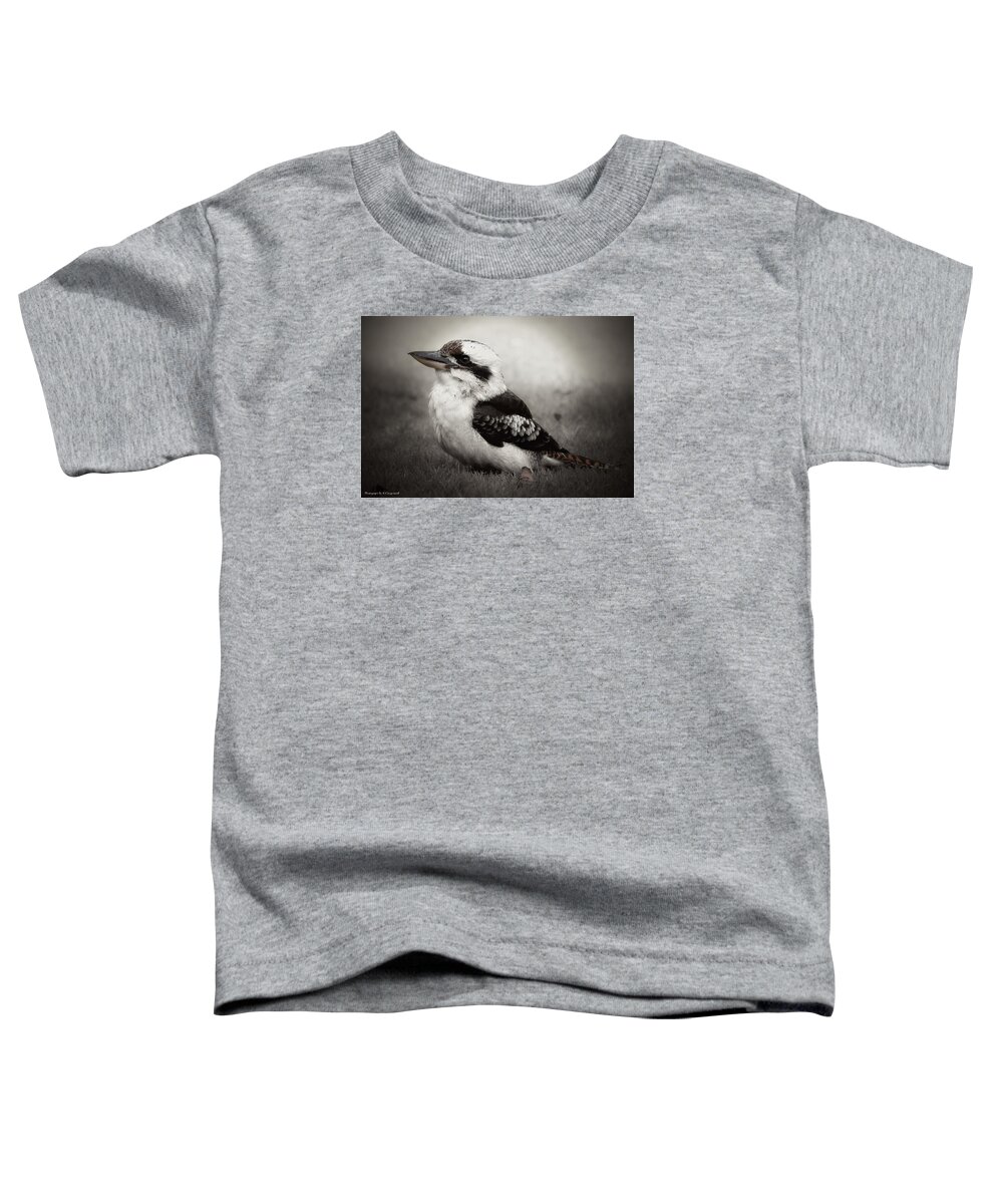 Kookaburra Australia Toddler T-Shirt featuring the photograph Kookaburra Beauty 01 by Kevin Chippindall