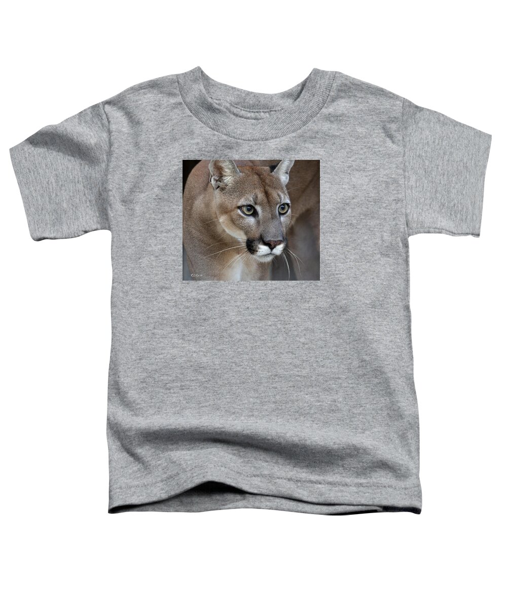 Florida Toddler T-Shirt featuring the photograph Kowiachobee Animal Preserve - Young Panther by Ronald Reid