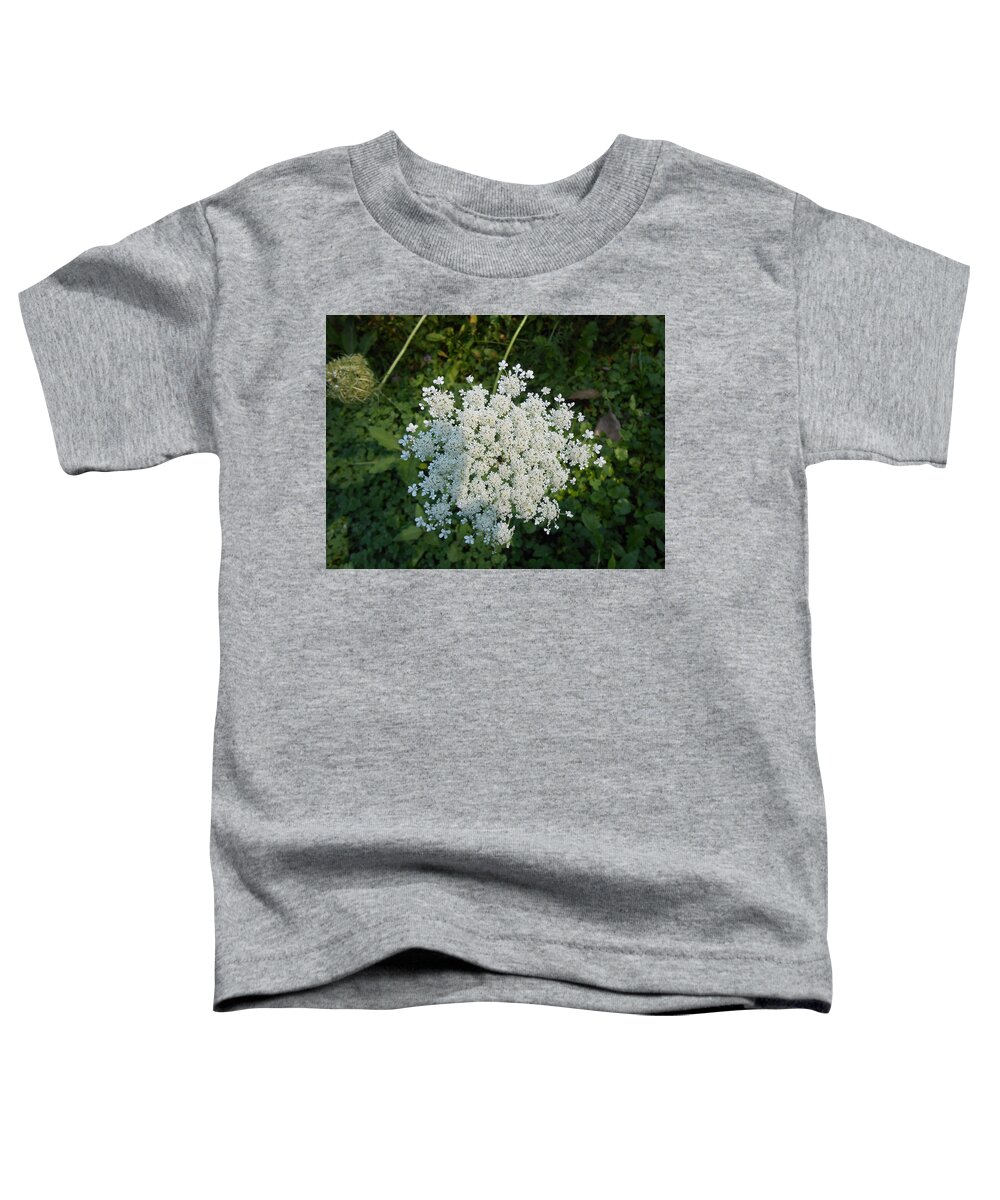 Flowers Toddler T-Shirt featuring the photograph Lace Of The Queen by Carrie Skinner