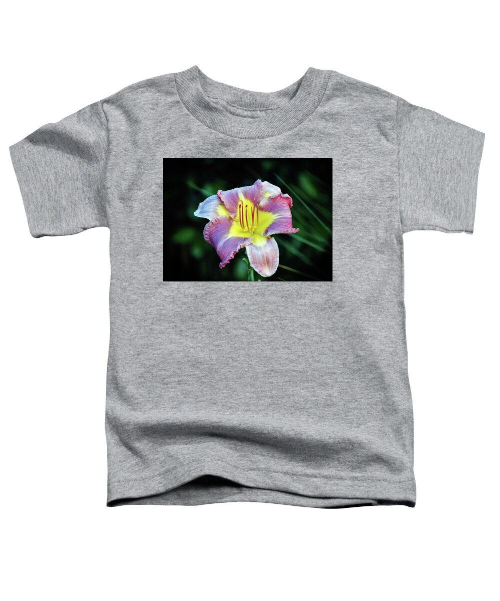 Daylily Toddler T-Shirt featuring the photograph Lavender And Yellow Lily by Cynthia Guinn