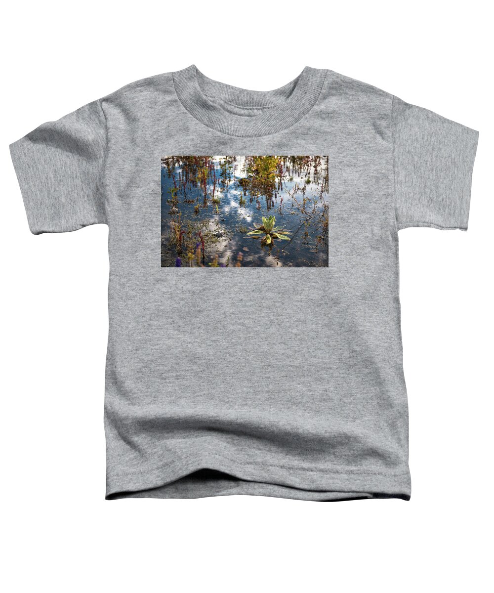 Tahoe Toddler T-Shirt featuring the photograph Lazy Mirror, Water Loving Plants and A Reflection of A Spring Sky Filled with Clouds at Lake Tahoe by Brian Ball