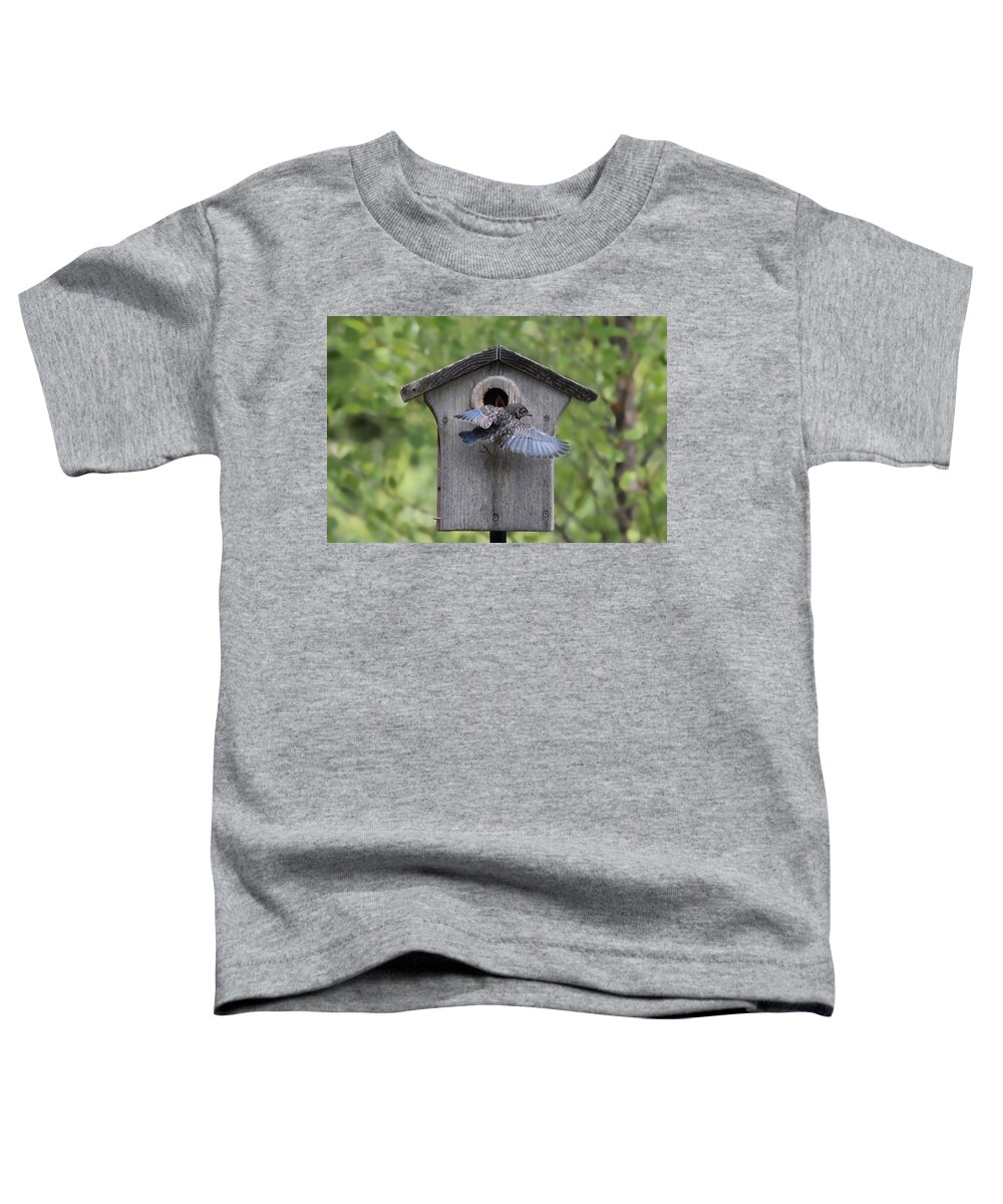 Bluebird Toddler T-Shirt featuring the photograph Leaving Home by Jackson Pearson