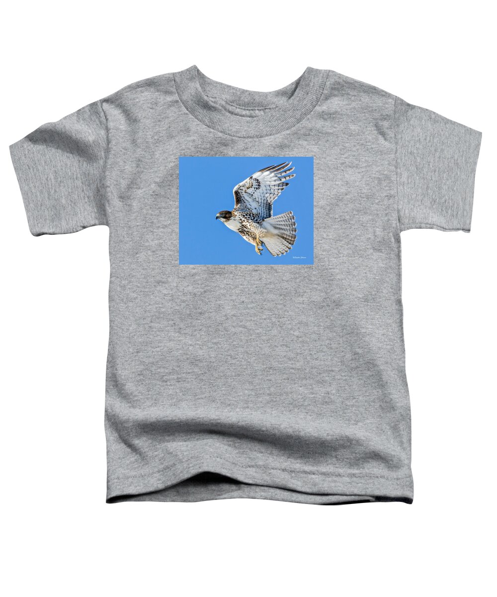 Red-tailed Hawk Toddler T-Shirt featuring the photograph Light Morph Juvenile Red-tailed Hawk by Stephen Johnson