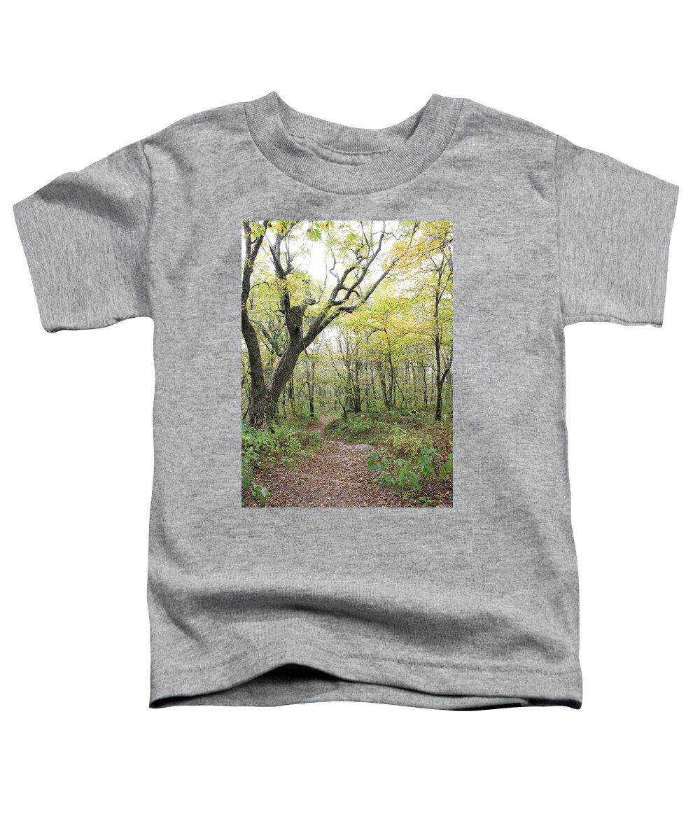 Path Toddler T-Shirt featuring the photograph Light on Path by Allen Nice-Webb