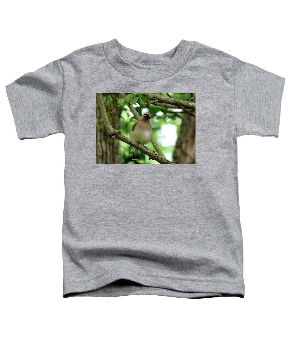 Cedar Waxwing Toddler T-Shirt featuring the photograph Little Flirt by I'ina Van Lawick