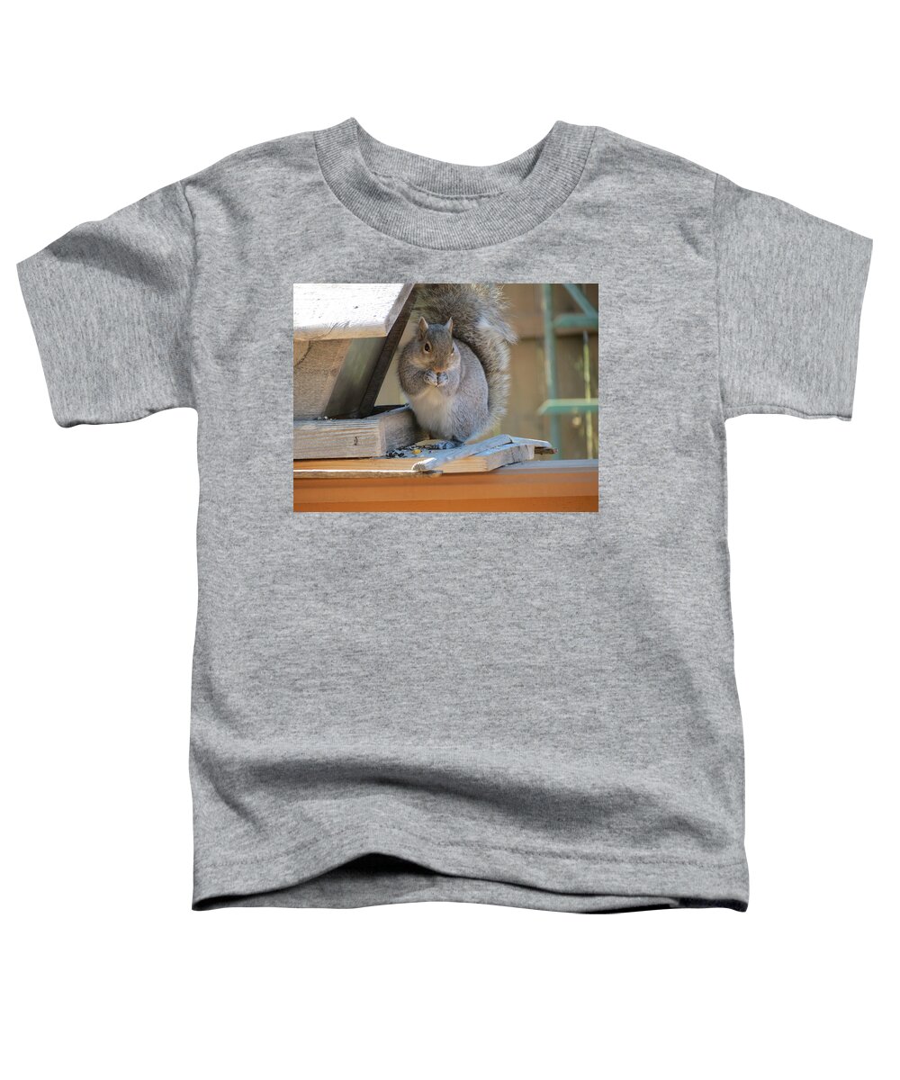 Squirrel Toddler T-Shirt featuring the photograph Little Gray Squirrel Eating by Kay Novy