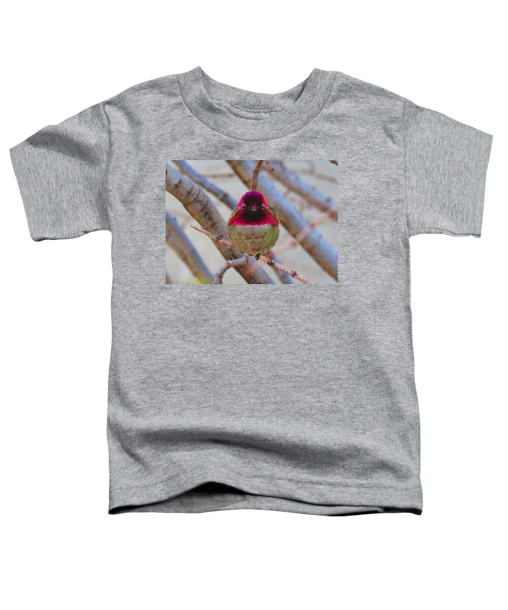 Animals Toddler T-Shirt featuring the photograph Little Jewel All Aglow by Judy Kennedy