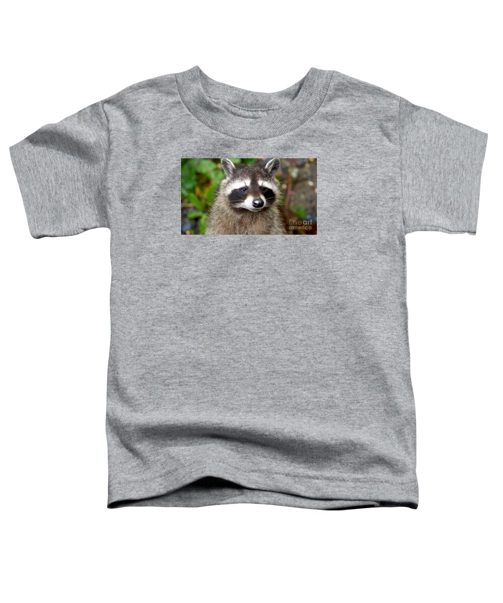 Racoon Toddler T-Shirt featuring the photograph Little Racoon - Procyon lotor by Eva-Maria Di Bella