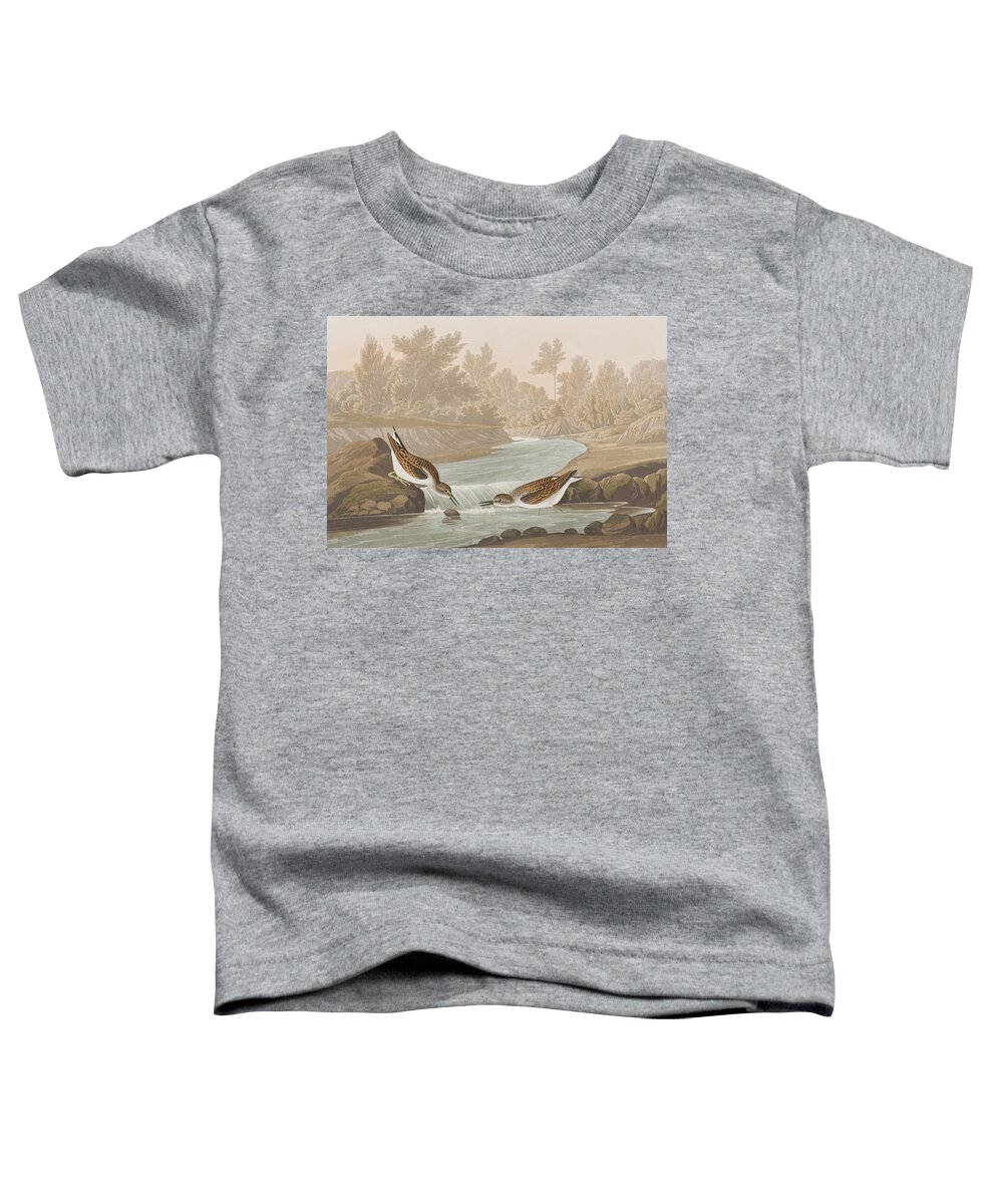 Sandpiper Toddler T-Shirt featuring the painting Little Sandpiper by John James Audubon