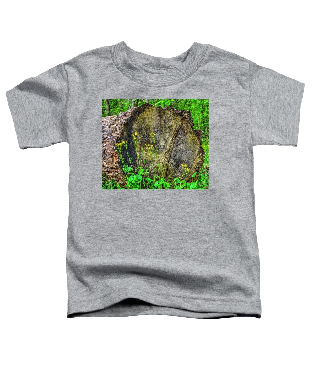 Landscapes Toddler T-Shirt featuring the photograph Log and Flowers by Roberta Kayne