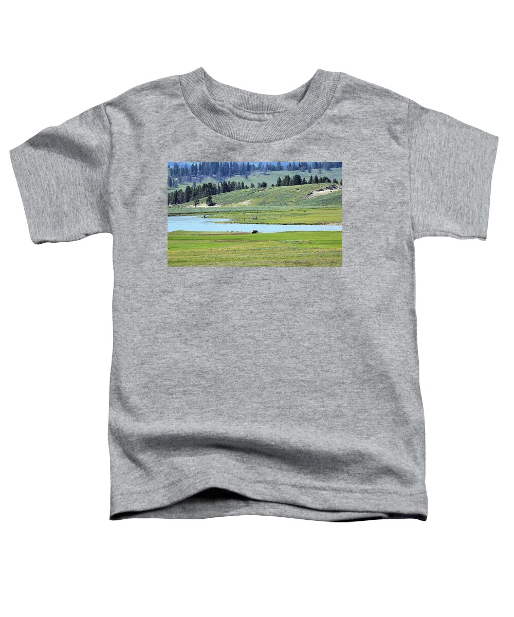 Photosbymch Toddler T-Shirt featuring the photograph Lone Bison out on the Prairie by M C Hood