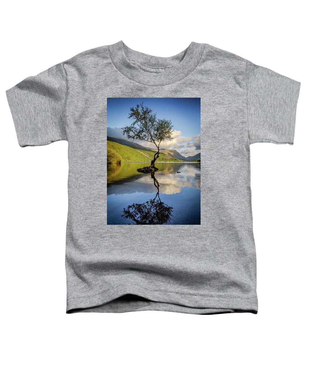 Gwynedd Toddler T-Shirt featuring the photograph Lone Tree, Llyn Padarn by Peter OReilly