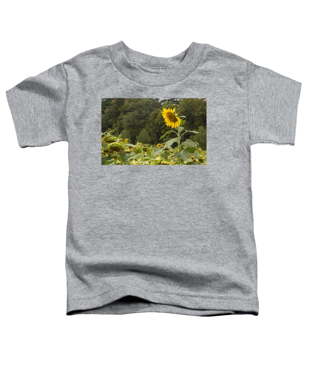 Sunflower Toddler T-Shirt featuring the photograph Lone Wolf by Arlene Carmel