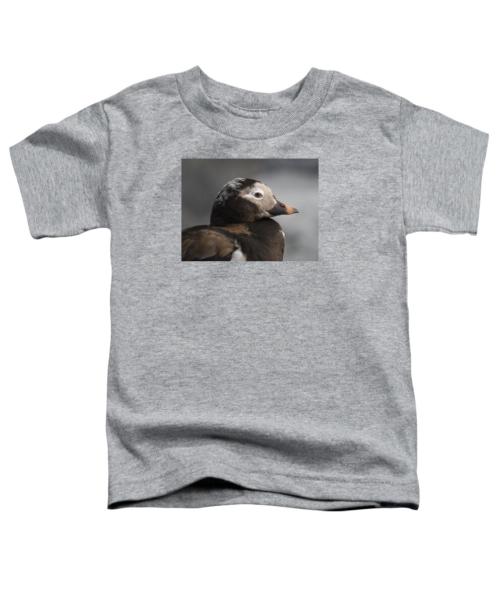 Alaska Toddler T-Shirt featuring the photograph Long-Tailed Stare by Ian Johnson