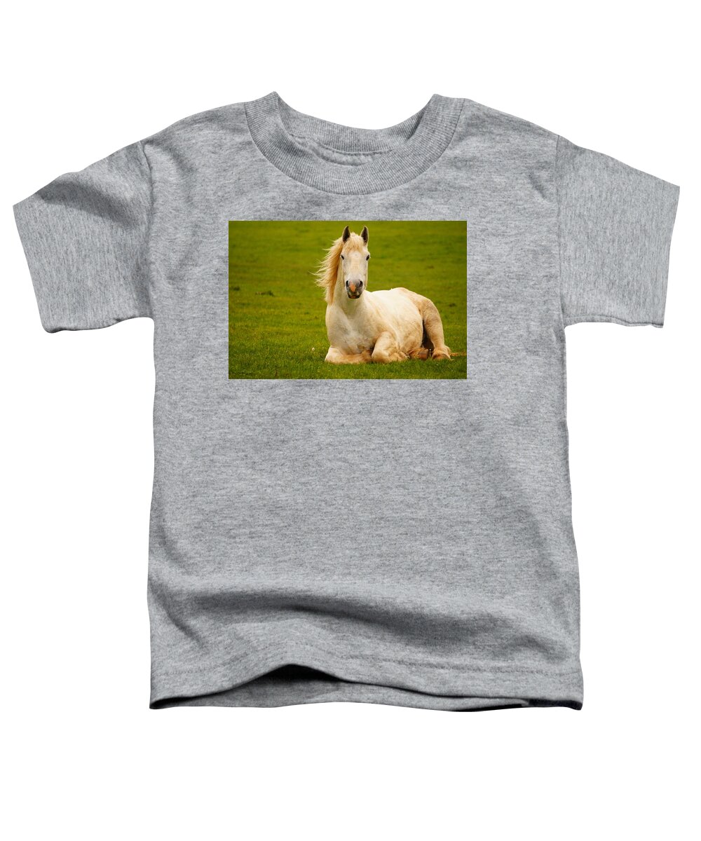 Horse Toddler T-Shirt featuring the photograph Look At Me by Beth Collins