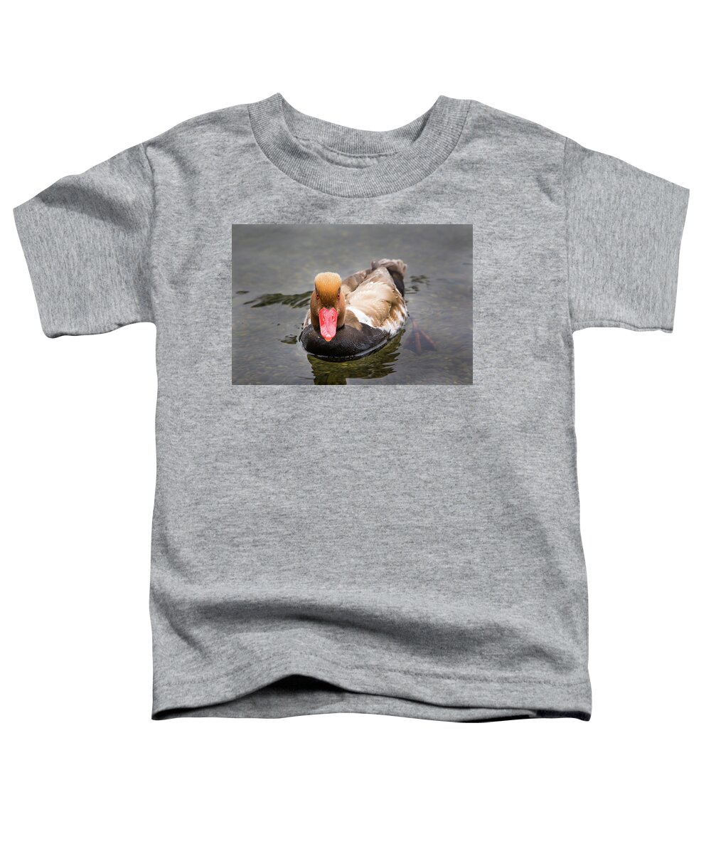 Animal Toddler T-Shirt featuring the photograph Look into my Eyes by John Wadleigh