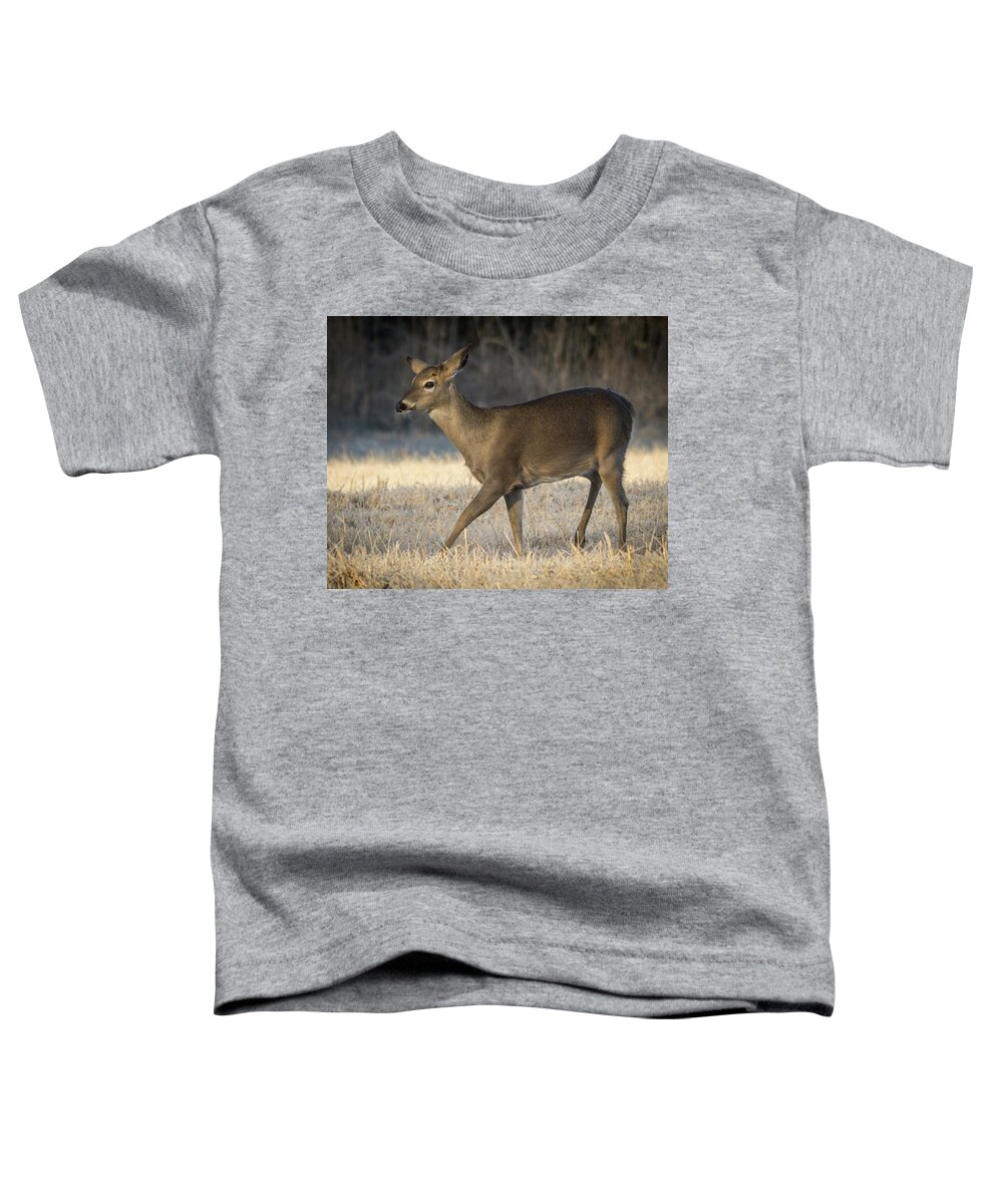 Wildlife Toddler T-Shirt featuring the photograph Looking Into The Future by John Benedict