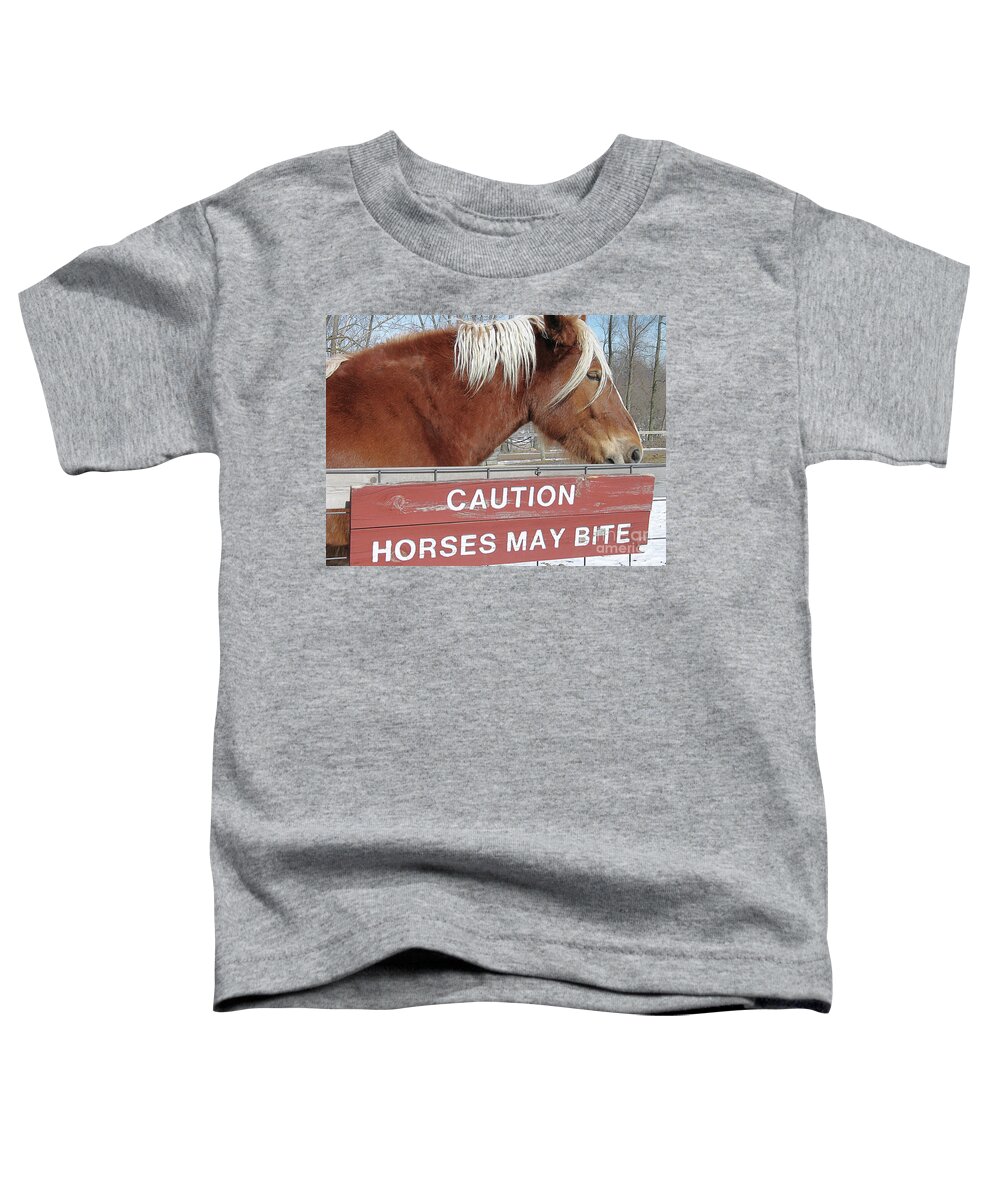 Barnyard Toddler T-Shirt featuring the photograph Looks Can Be Deceiving by Ann Horn