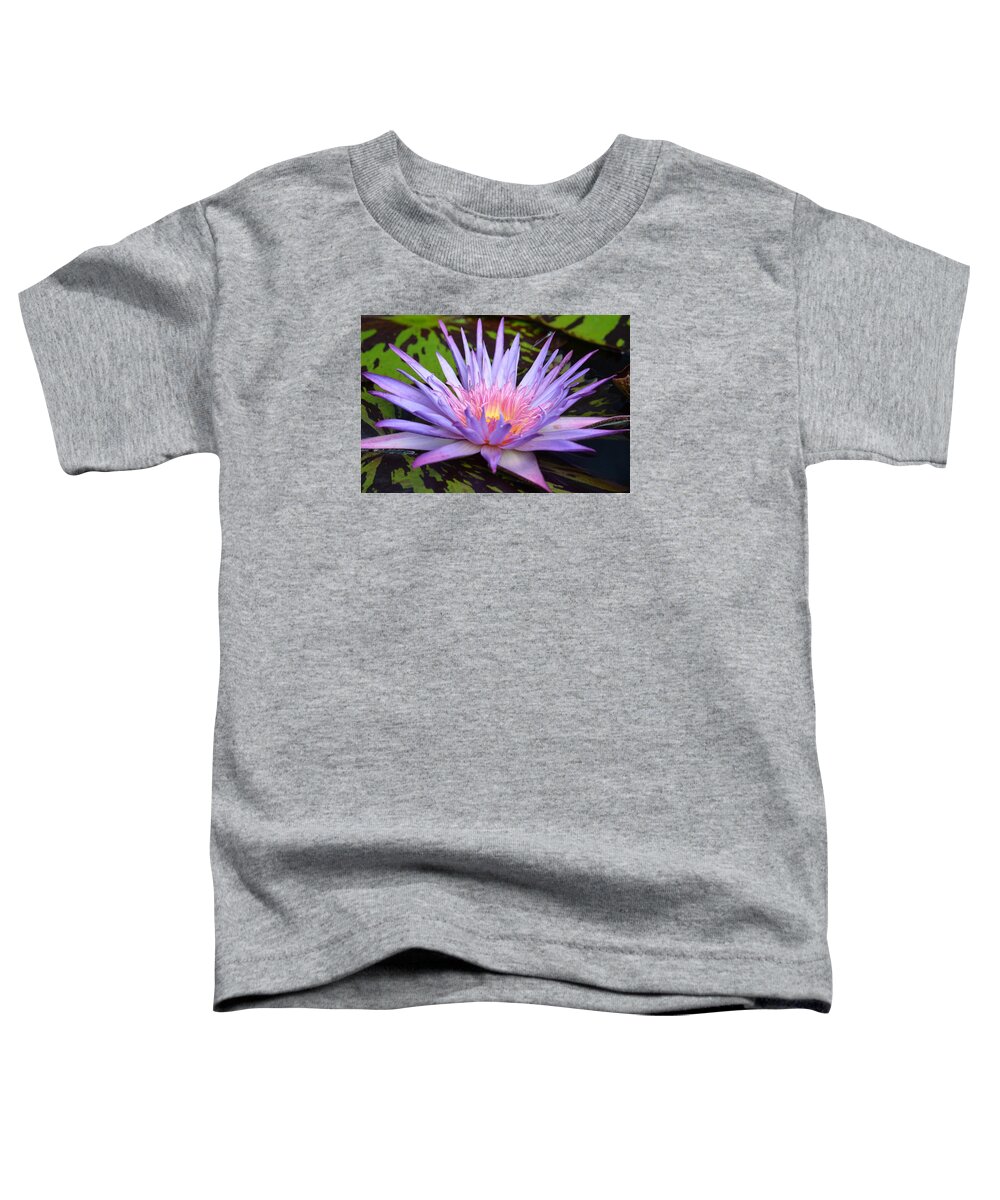 Lotus Star Toddler T-Shirt featuring the photograph Lotus Star by Maria Urso