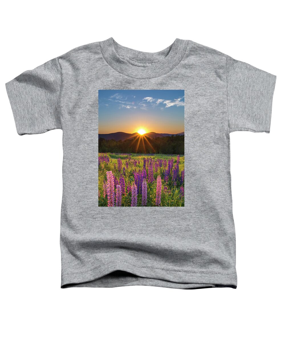 Lupine Toddler T-Shirt featuring the photograph Lupine Sunrise Sugar Hill by White Mountain Images