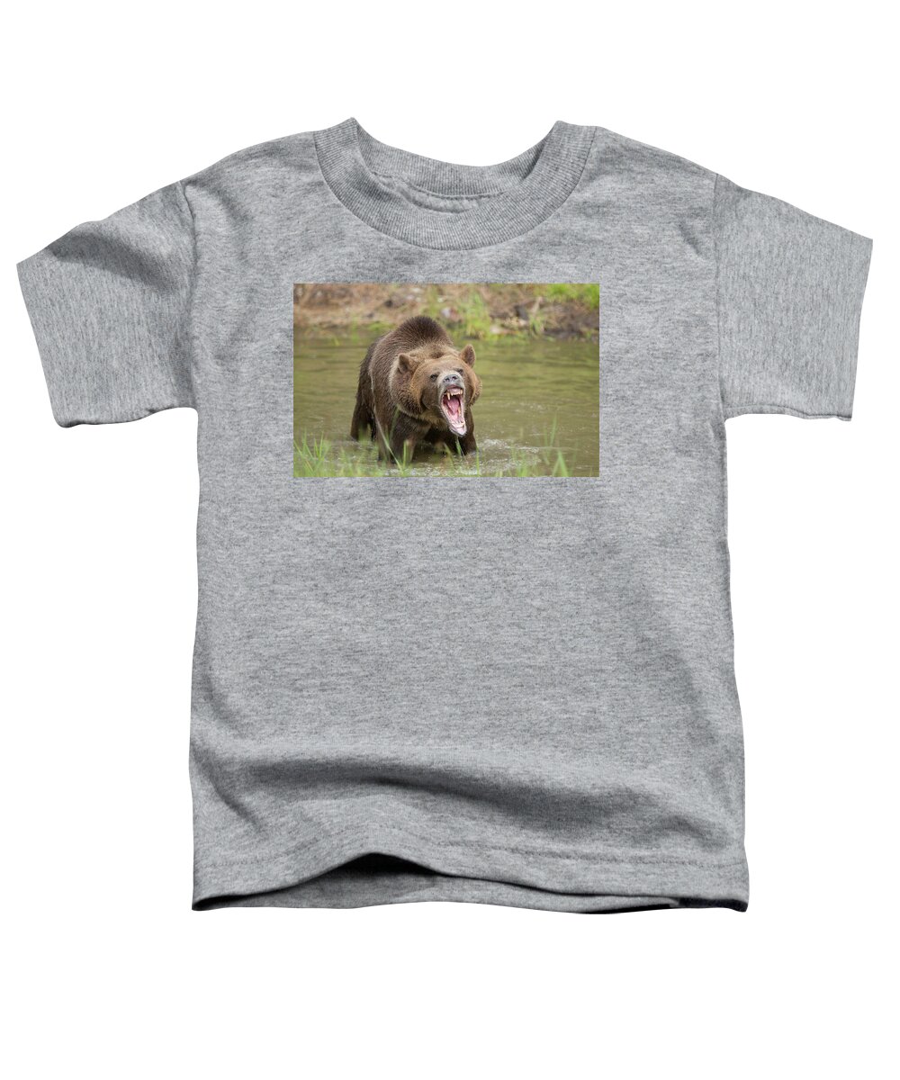Bear Toddler T-Shirt featuring the photograph Mad Bear by Jack Nevitt