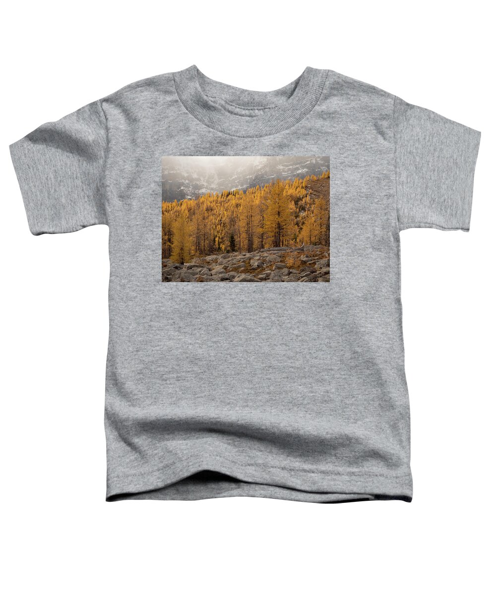 Larch Toddler T-Shirt featuring the photograph Magnificent Fall by Emily Dickey