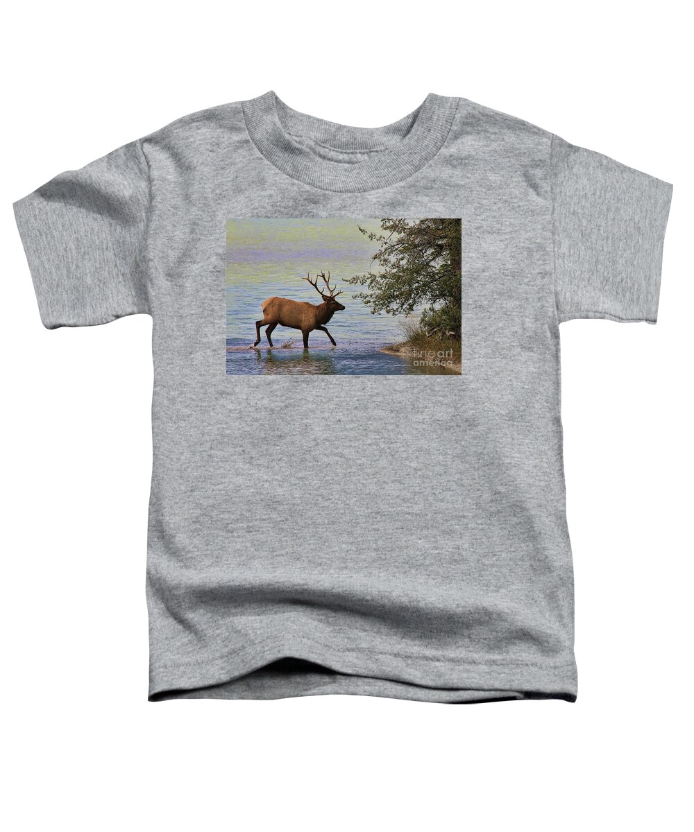 Elk Toddler T-Shirt featuring the photograph Magnificent Stag in Jasper National Park by Teresa Zieba