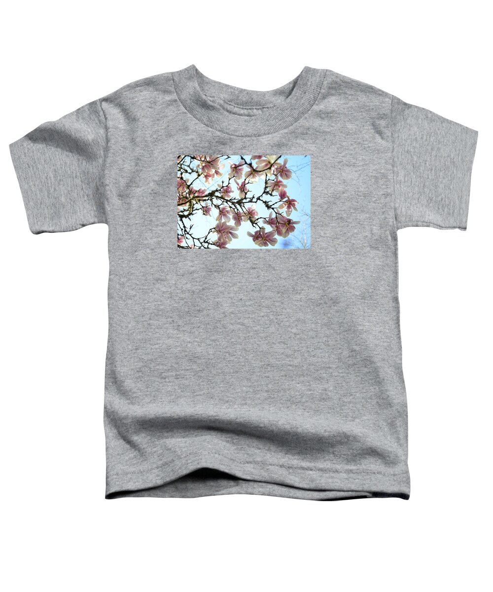 Flowering Trees Toddler T-Shirt featuring the photograph Magnolia Sky by Michael Ramsey