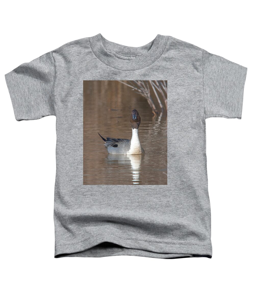 Nature Toddler T-Shirt featuring the photograph Male Northern Pintail DWF0158 by Gerry Gantt