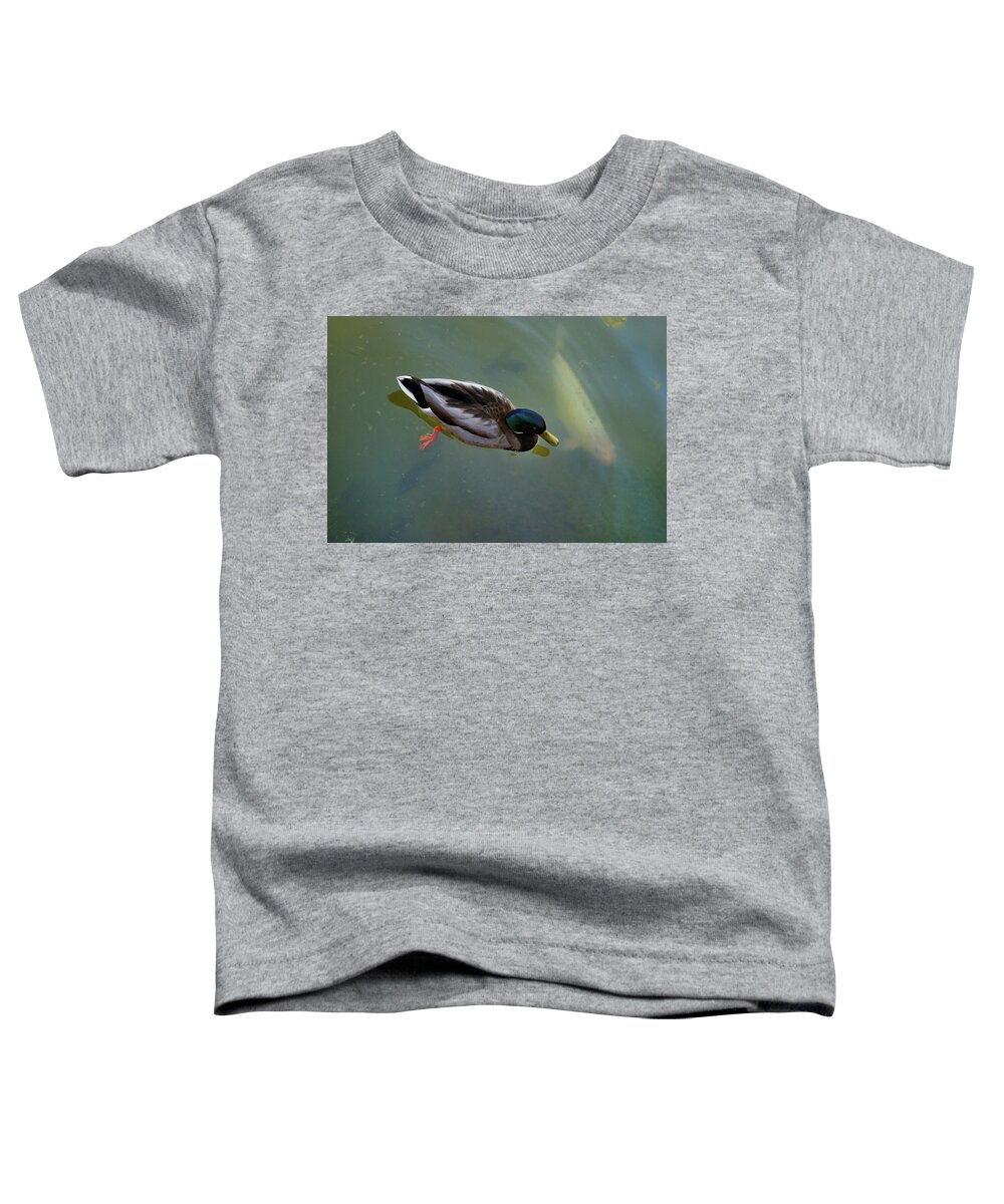 Nature Toddler T-Shirt featuring the photograph Mallard and Carp by Ron Cline