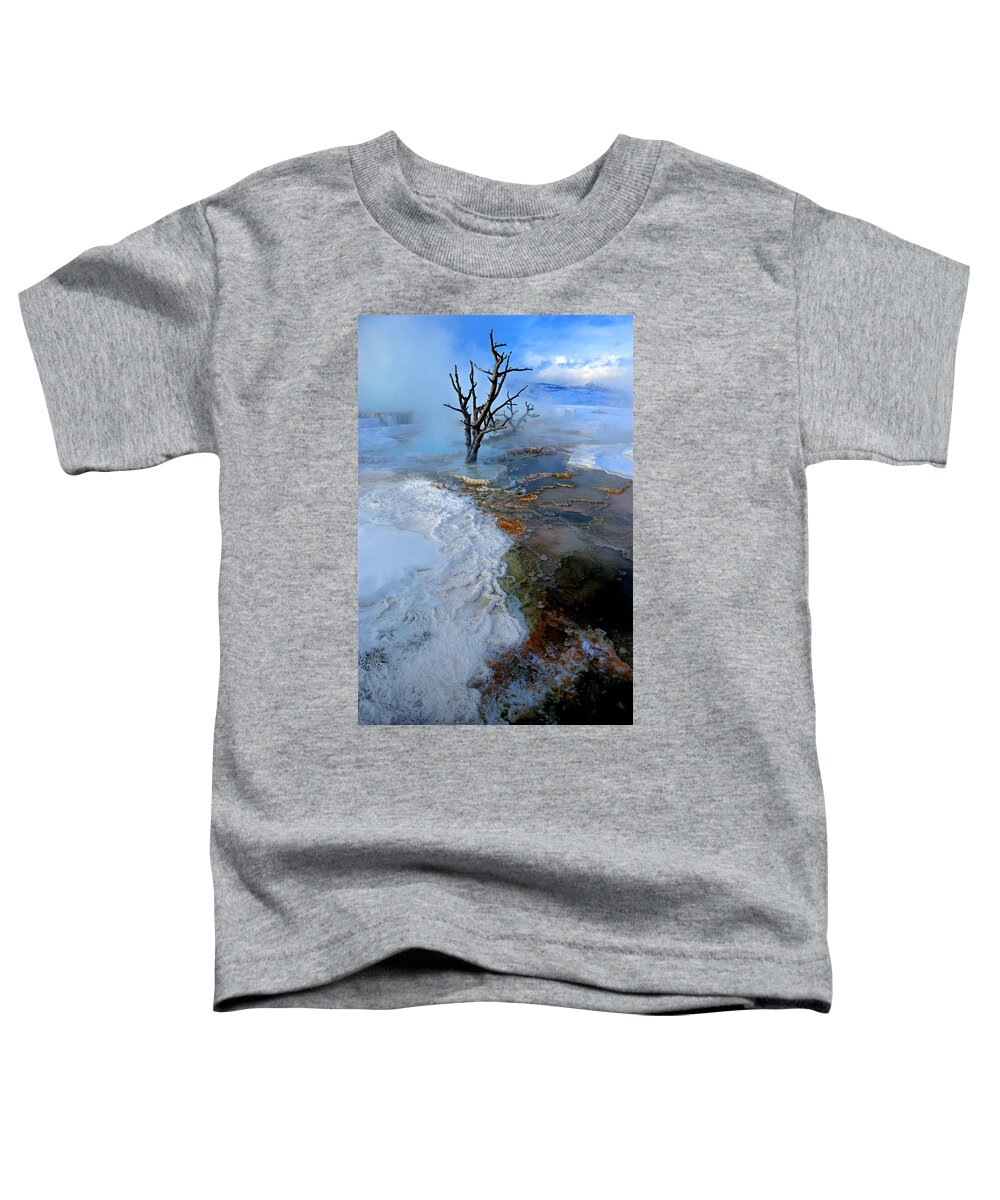 Boiling Toddler T-Shirt featuring the photograph Mammoth by David Andersen