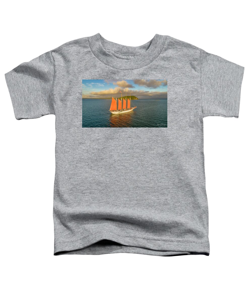 Margaret Todd Toddler T-Shirt featuring the photograph Margaret Todd by Veterans Aerial Media LLC