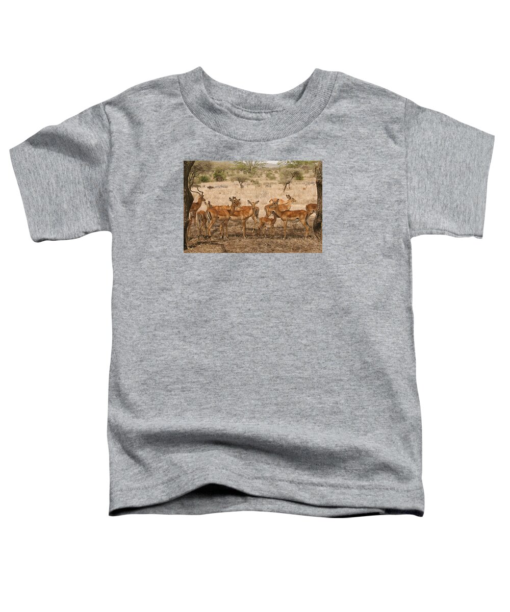 Gary Hall Toddler T-Shirt featuring the photograph Master of His Domain by Gary Hall