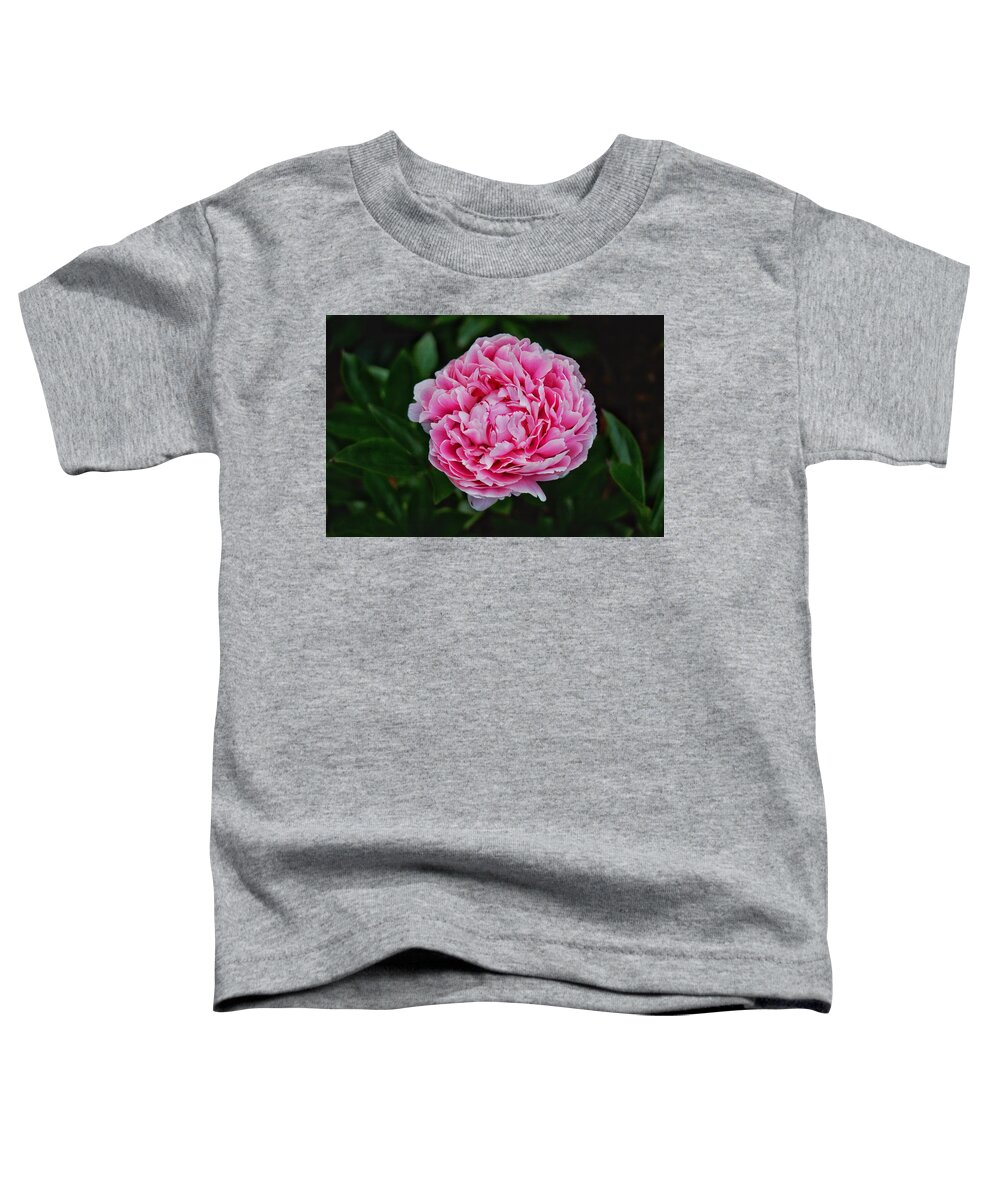 Peony Toddler T-Shirt featuring the photograph May Peony by Chris Berrier
