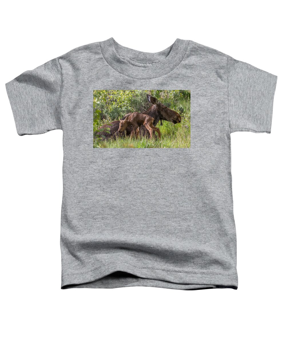 Moose Toddler T-Shirt featuring the photograph May Showers by Kevin Dietrich