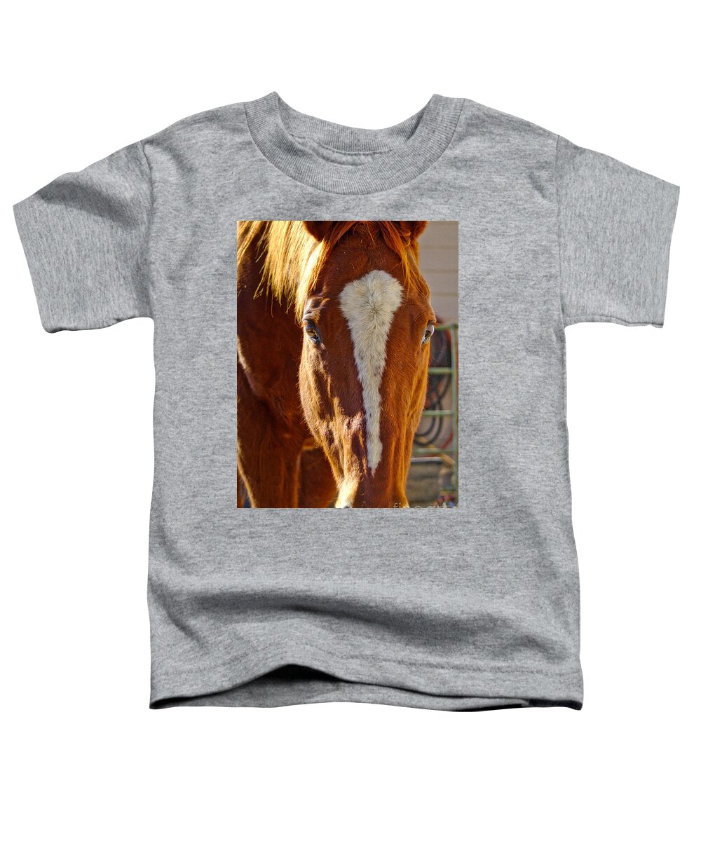 Mccool Toddler T-Shirt featuring the photograph McCool, Grandson of Secretariat by Cindy Schneider