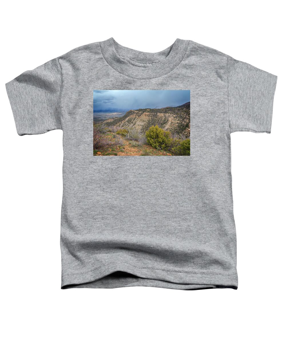 Joan Carroll Toddler T-Shirt featuring the photograph Mesa Verde National Park Colorado USA by Joan Carroll