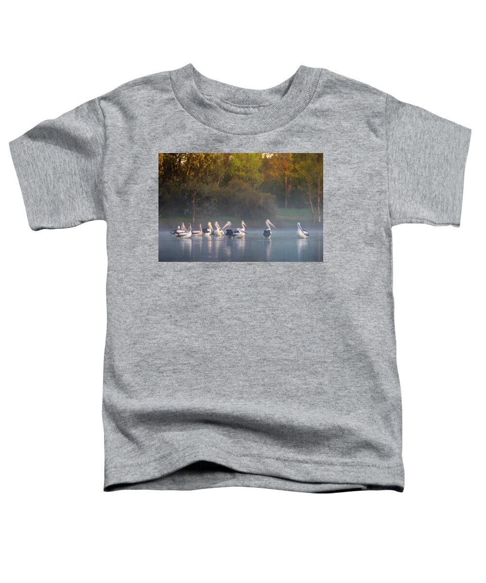 Pelicans Toddler T-Shirt featuring the photograph Misty Sunrise by Diana Andersen