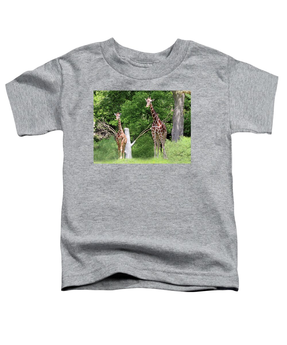 Giraffe Toddler T-Shirt featuring the photograph Mom and baby giraffe by Jackson Pearson