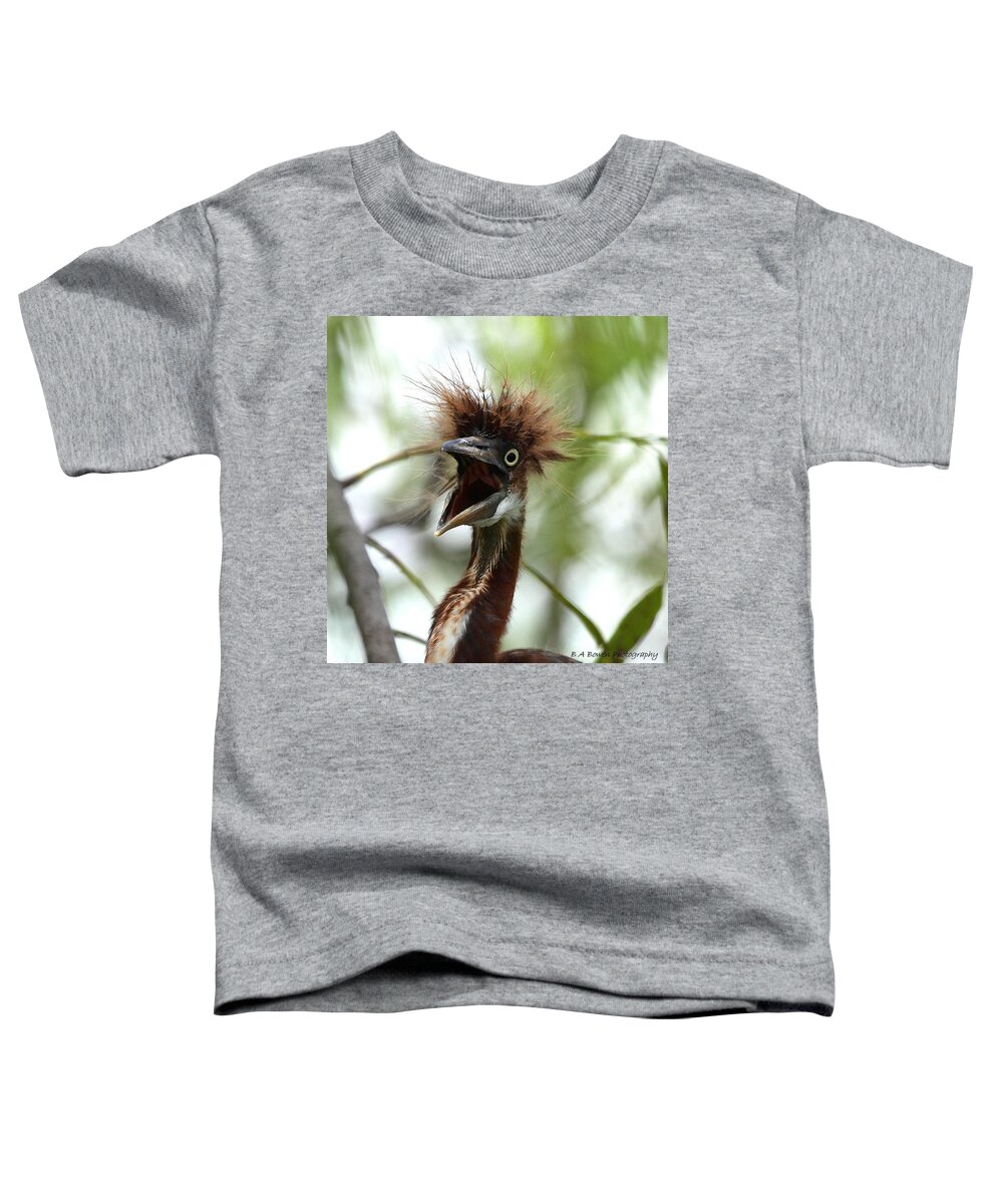 Immature Tri-colored Heron Toddler T-Shirt featuring the photograph Momma I am HUNgry by Barbara Bowen