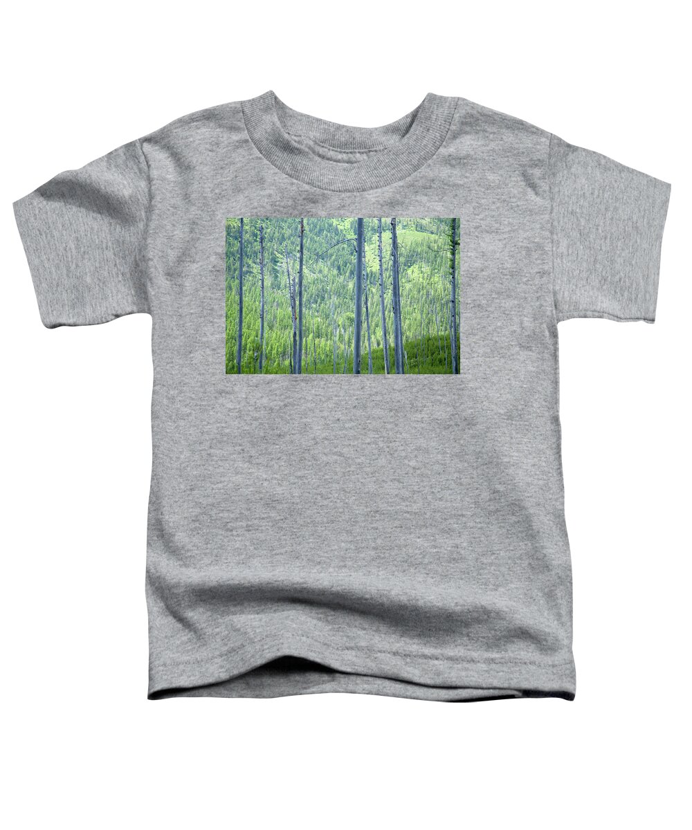 Trees Toddler T-Shirt featuring the photograph Montana Trees by David Chasey
