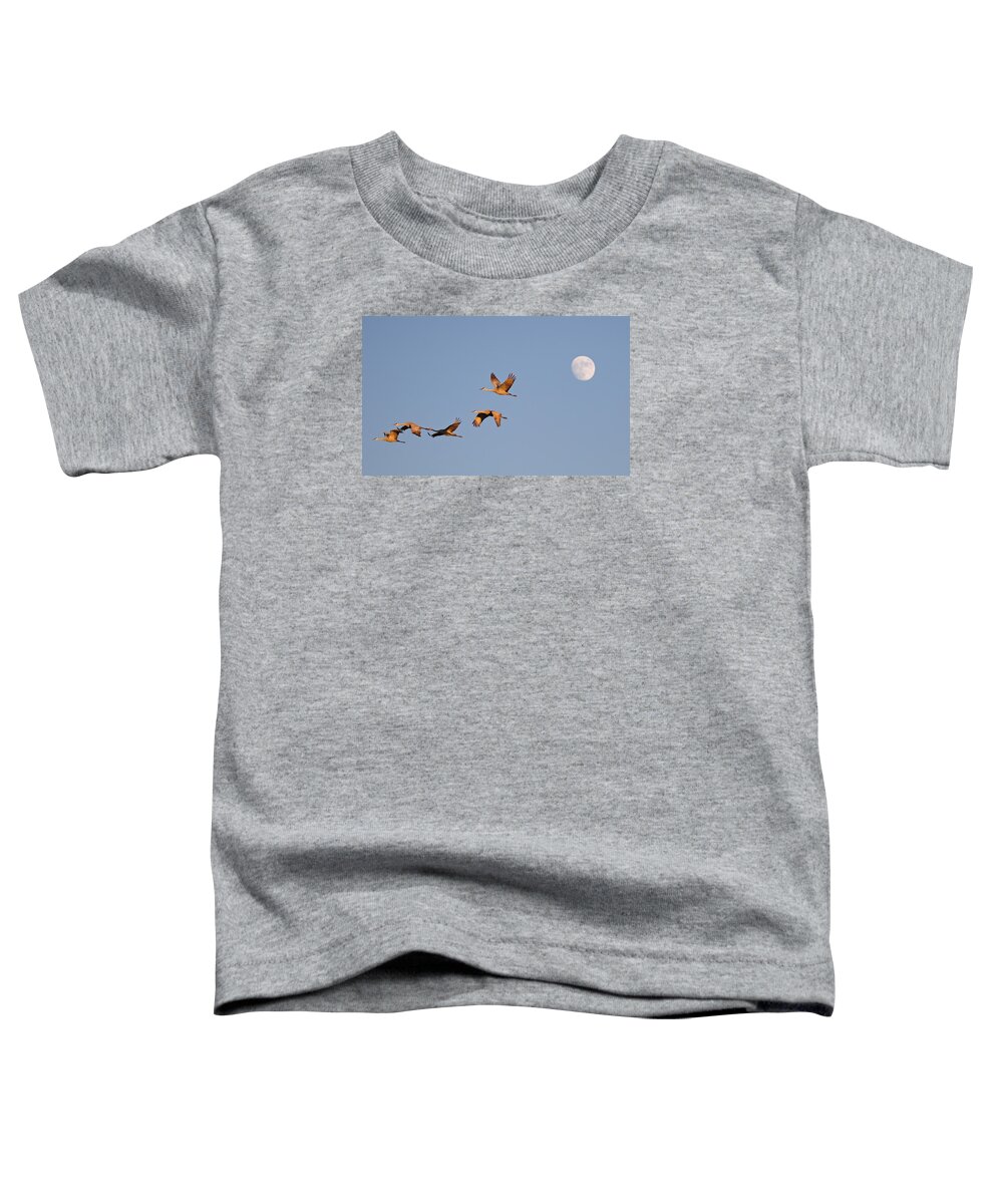 Sandhill Toddler T-Shirt featuring the photograph Moonrise over Bosque by Jean Clark
