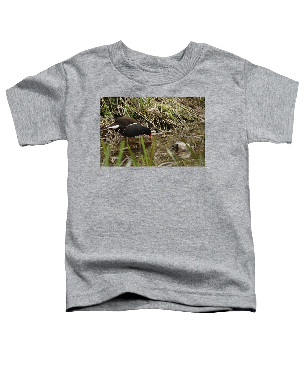 Bird Toddler T-Shirt featuring the photograph Moorhen Feeding by Adrian Wale