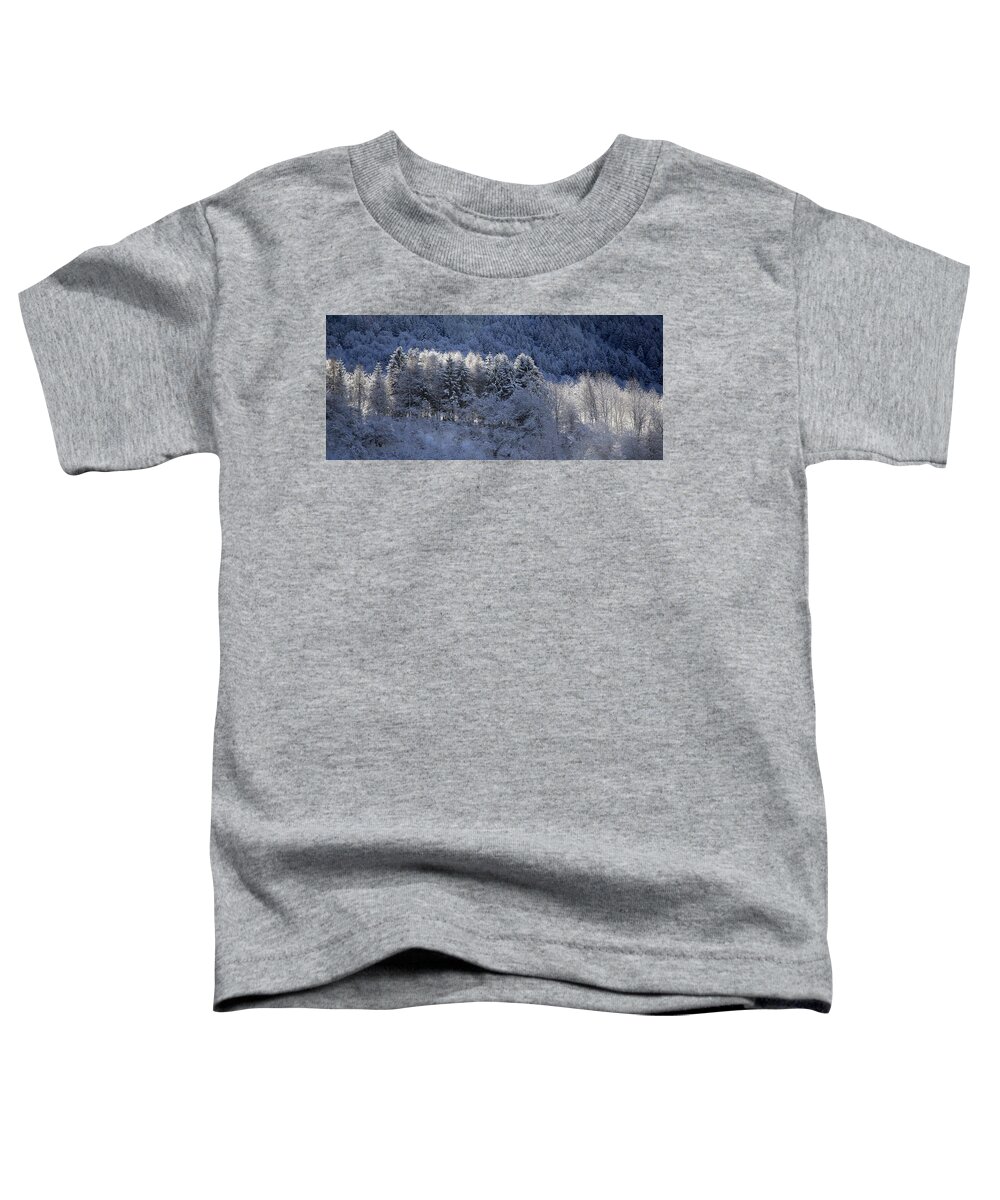 Entracque Toddler T-Shirt featuring the photograph Morning after the snow by Alberto Audisio