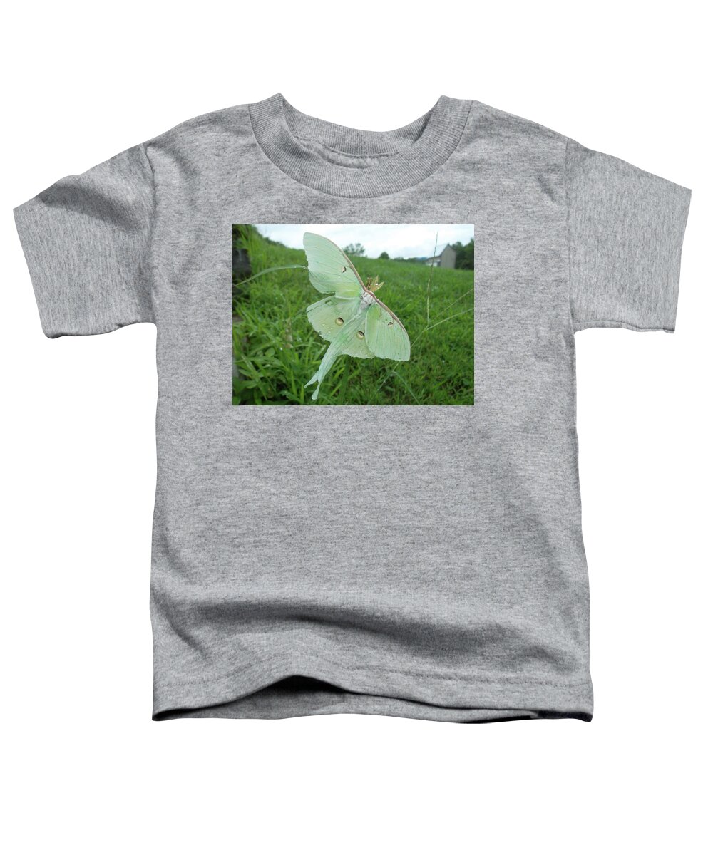 Luna Moth Toddler T-Shirt featuring the photograph Morning Dew by Susan Esbensen