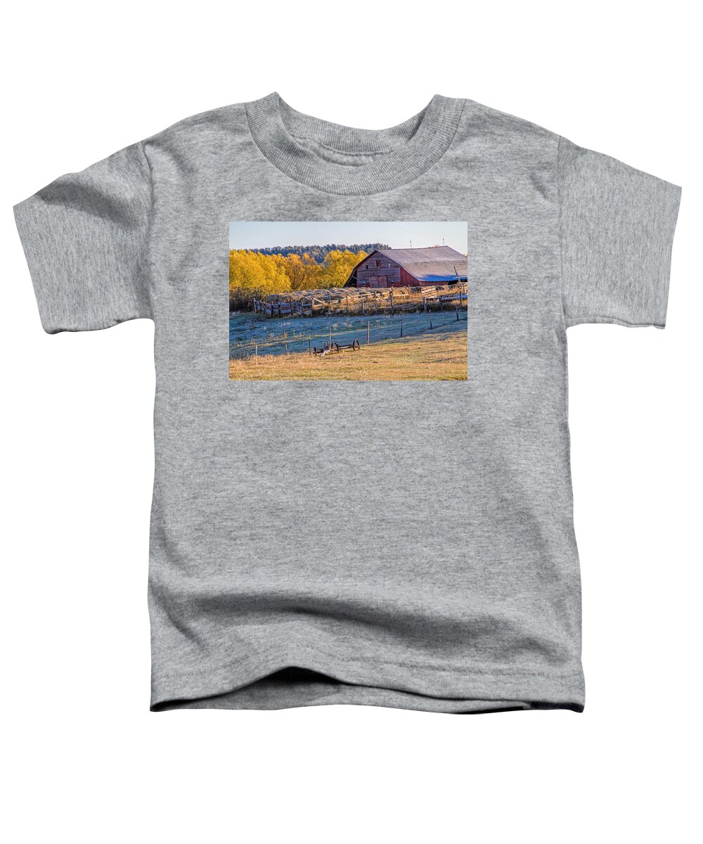 Barn Toddler T-Shirt featuring the photograph Morning Frost by Alana Thrower