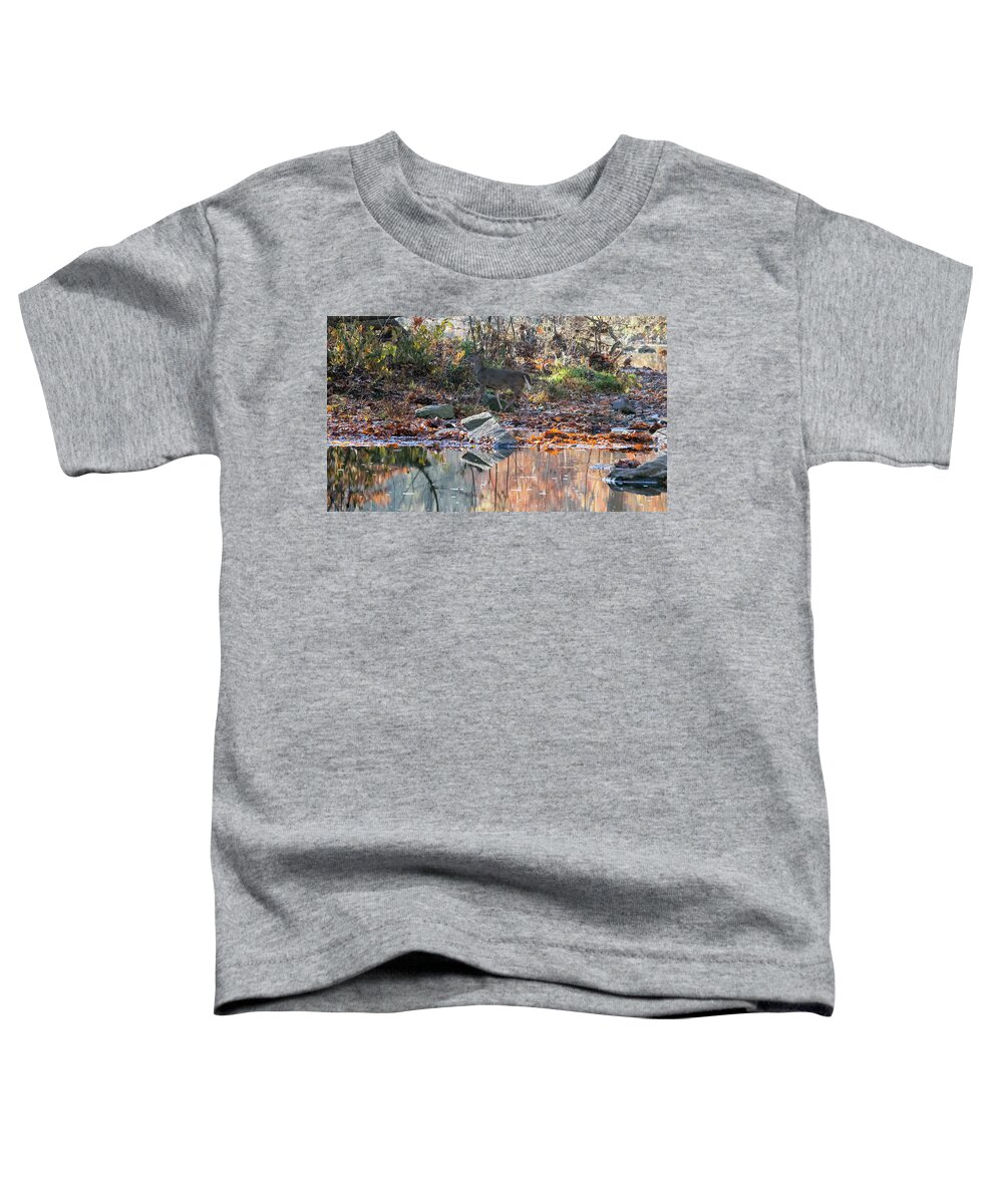 Wildlife Toddler T-Shirt featuring the photograph Morning in the Woods by Paul Ross