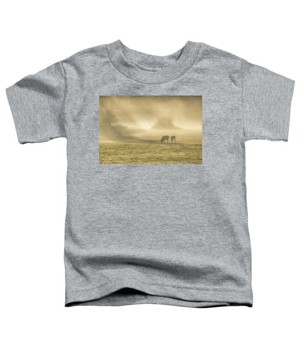 Elk Toddler T-Shirt featuring the photograph Morning on the Meadows 0725 by Kristina Rinell
