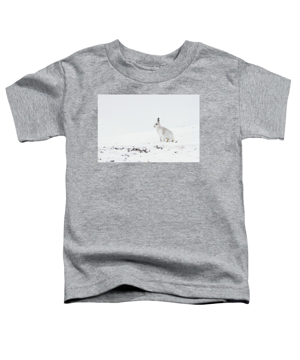 Mountain Toddler T-Shirt featuring the photograph Mountain Hare Side On by Pete Walkden